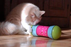 Pipolino M 11 Pipolino M -Pet Haven Soldes pipolino chat 2664c1c4 dcc5 4239 9d44 3a71f002fe4d