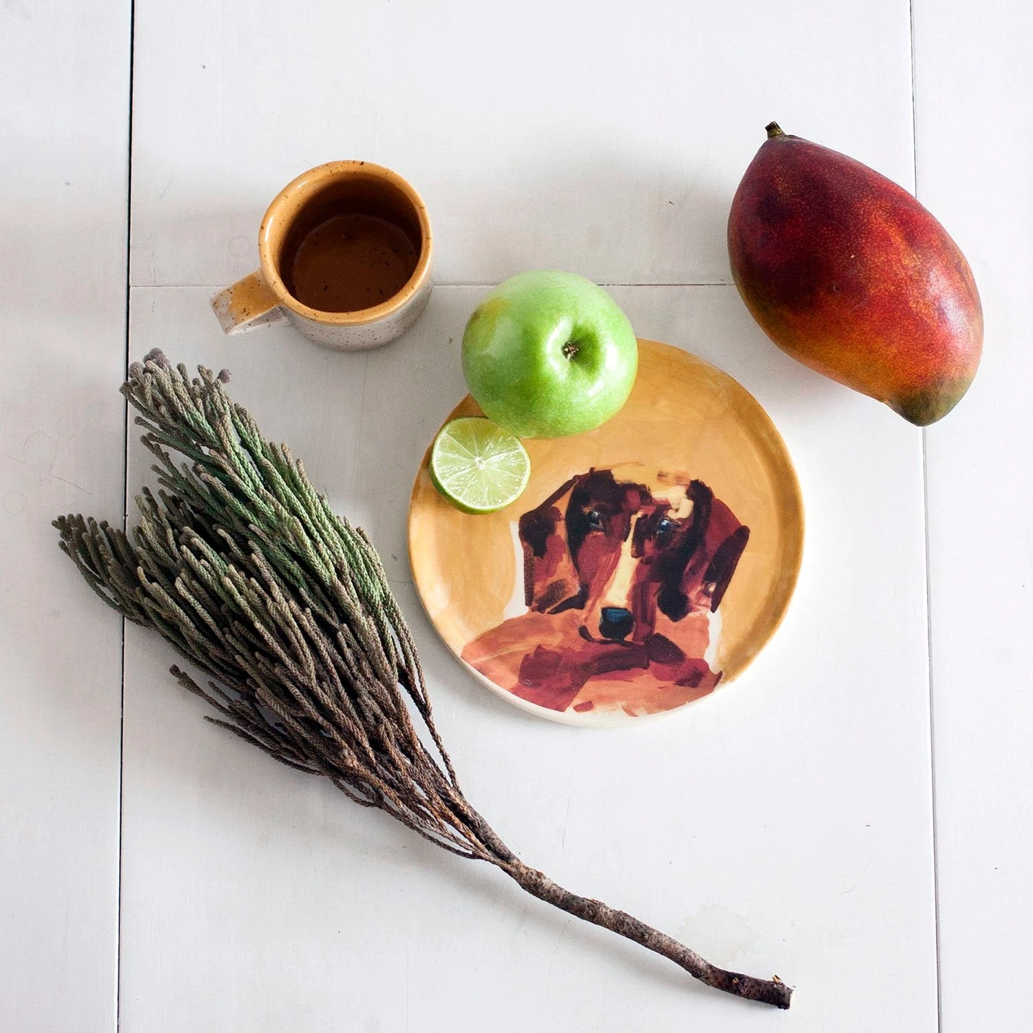 Pet Haven Soldes -Pet Haven Soldes plato 2