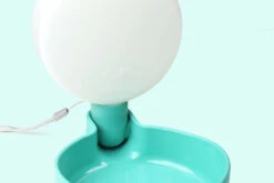 Gourde Pour Chien Avec Bol D’eau -Pet Haven Soldes plus pingui aq