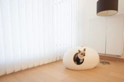 Litière Ou Niche Design Pour Chat Poopoopeedo -Pet Haven Soldes poopoopeedoo blanc chien