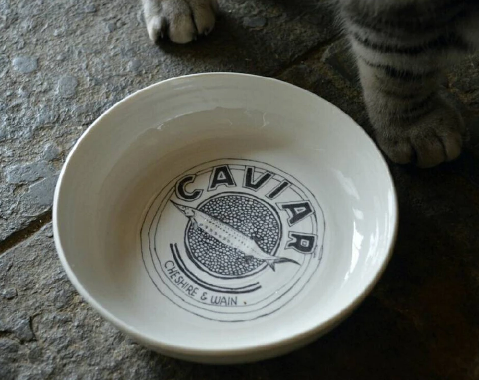 Bol En Céramique Pour Chat "caviar" 4 Bol En Céramique Pour Chat "caviar" – Image 2