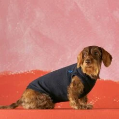 Body Pour Chien Josef -Pet Haven Soldes prod 02