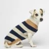 Pull Pour Chien En Laine Anni -Pet Haven Soldes pw fw20 21 2 1280x1280 1