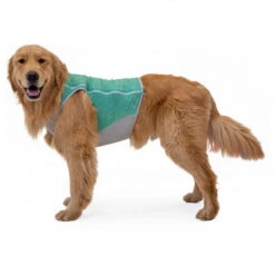 Gilet Rafraichissant Pour Chien Ruffwear Swamp Cooler -Pet Haven Soldes ruffwear swamp cooler zip vest manteau pour chien detail 5