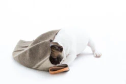 Couverture En Laine Recyclée Ansel Duepuntootto -Pet Haven Soldes s768842417857699996 p35 i8 w1200