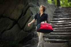 Sac De Transport Pour Chien/chat Spécial Avion -Pet Haven Soldes sac de transport avion pour chien et chat sleepypod air rouge