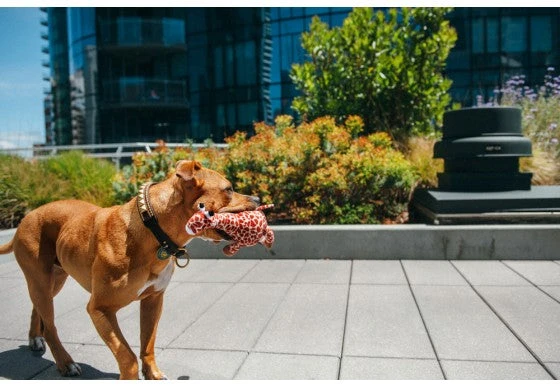 PLAY Peluche Gabi La Girafe Collection Safari 4 PLAY Peluche Gabi La Girafe Collection Safari – Image 2