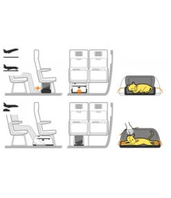 Sac De Transport Pour Chien/chat Spécial Avion -Pet Haven Soldes sleepypod air bb2741e3 b99f 4b96 9dd2 1a5829422a9a