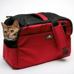 Sac De Transport Pour Chats Et Petits Chien Atom -Pet Haven Soldes sleepypod atom dog carrier strawberry red 11 800x 01727aaa cefb 4a1e 89aa 64453246d781