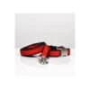 Collier Pour Chien Solid Red -Pet Haven Soldes solid red