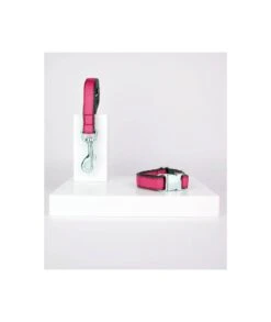 Laisse Pour Chien Unie Rouge Fraise Solid Strawberry