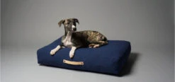 Coussin Pour Chien De Style Nordique -Pet Haven Soldes stockholm b3f9bbe7 8c65 48e5 be7d 9509769ebeb9
