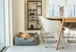 Lit Douillet Pour Chien Velluto -Pet Haven Soldes velluto bildergalerie