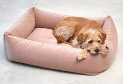 Lit Douillet Pour Chien Velluto -Pet Haven Soldes velluto bildergalerie1