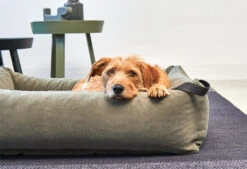 Lit Douillet Pour Chien Velluto -Pet Haven Soldes velluto bildergalerie2