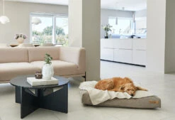 Coussin Relaxant Pour Chien Velluto -Pet Haven Soldes velluto cushion galerie