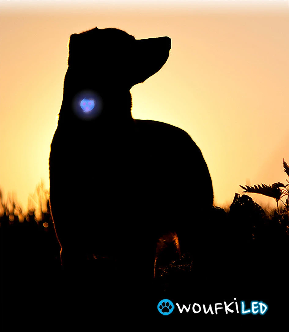 Woufki Led - Lumière De Sécurité 4 Woufki Led - Lumière De Sécurité – Image 2