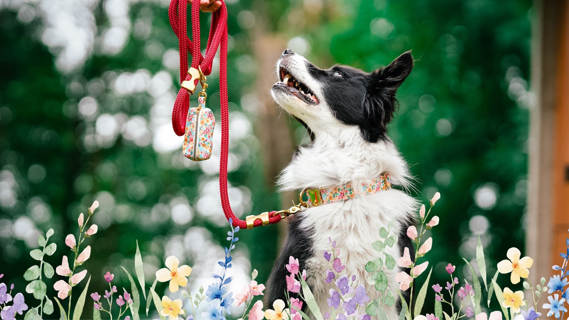 Pet Haven Soldes -Pet Haven Soldes Pavane hp accessoires chien fleurs